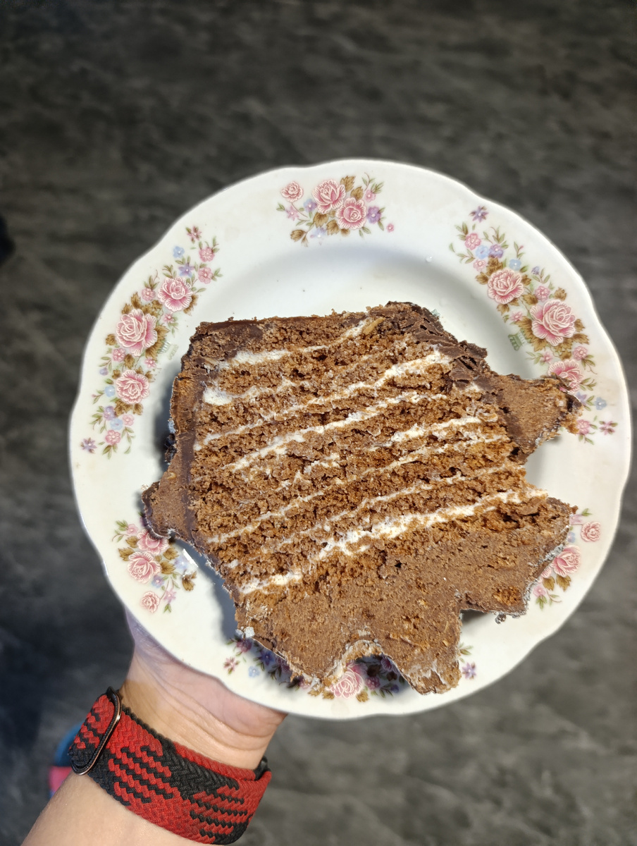 Разрез Акулы