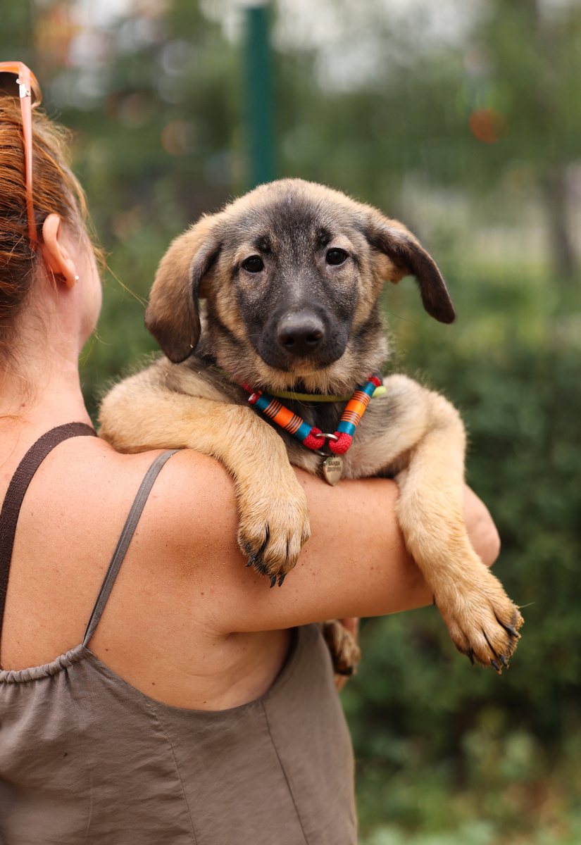 А вот вы мне все нравитесь!