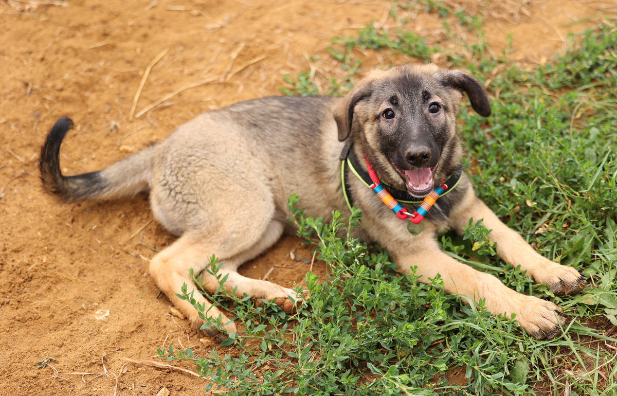 Вот так лежала и боялась!