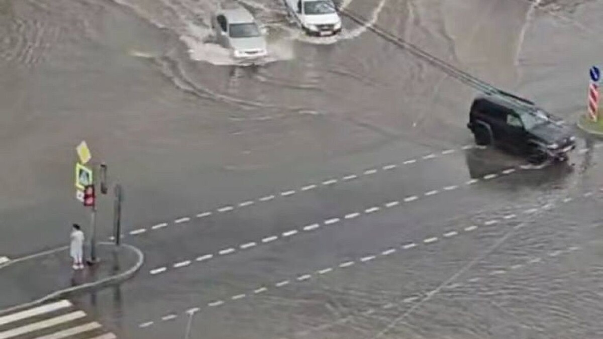    Фото: t.me/mashmoyka