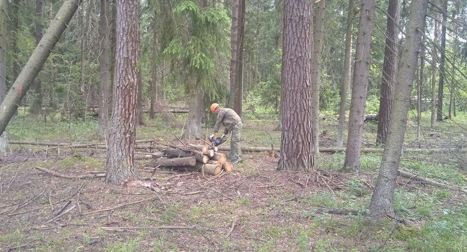    Комитет лесного хозяйства Московской области