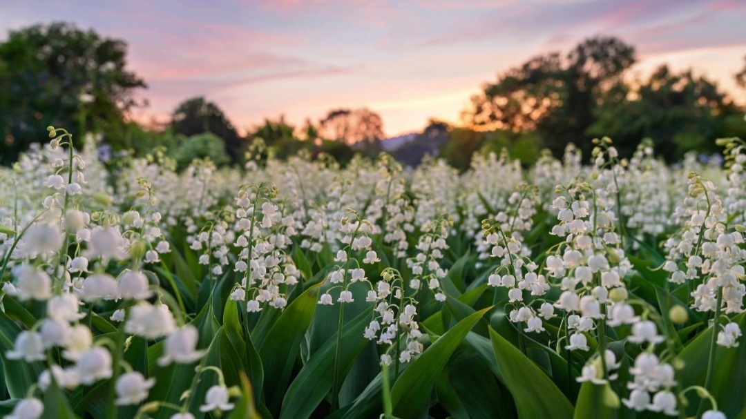 Картинка создана Нейросетью