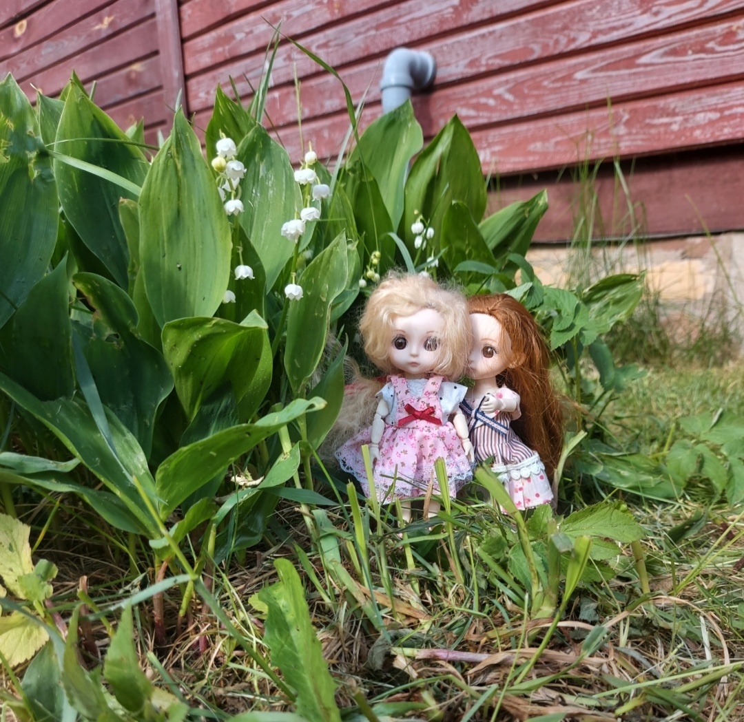 Лика и Ника. Фото автора канала