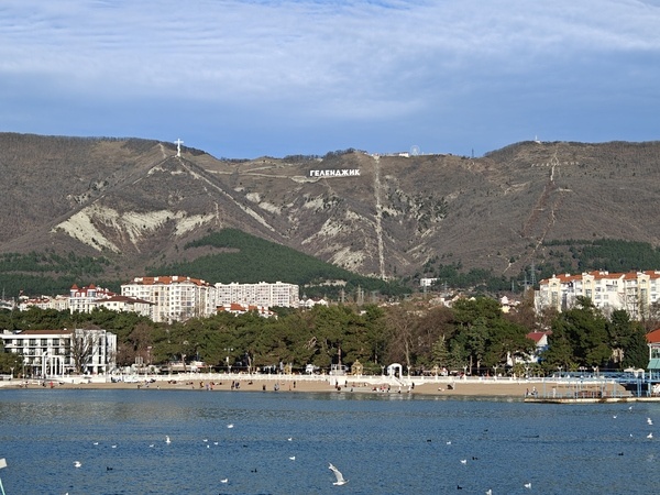    Фото: Юрий Серебренников/BFM Кубань