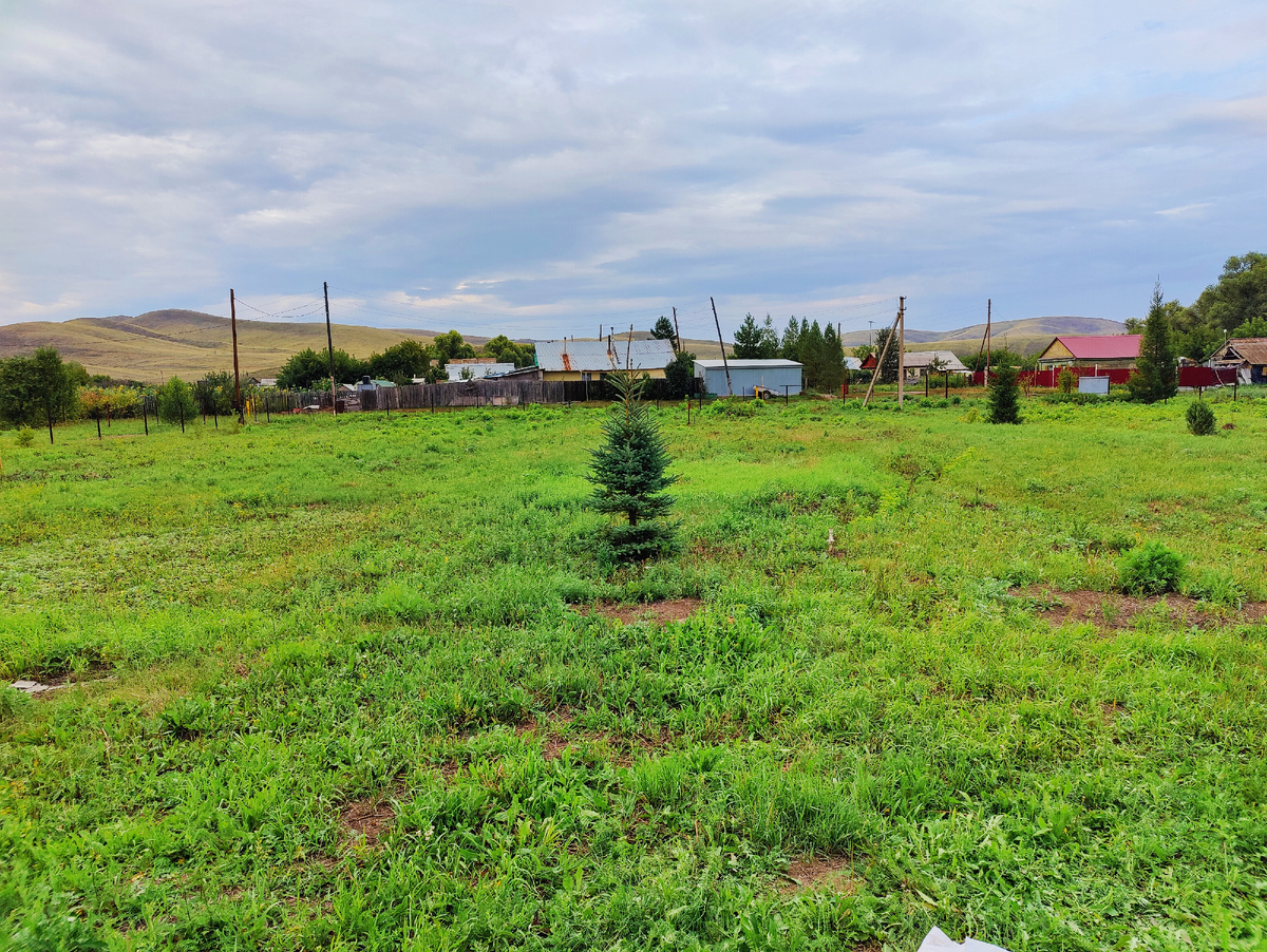 Участок 30 соток.