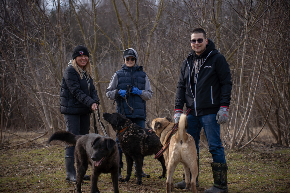 Возможно, из наших репортажей складывается впечателение, что жизнь в приюте - это веселые прогулки собак с волонтерами и гостями приюта