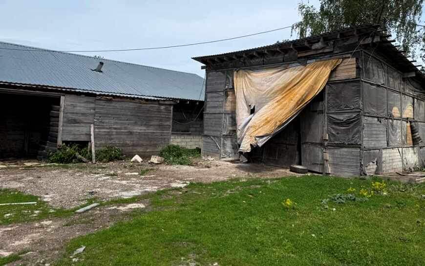    Фото: управление Россельхознадзора по Брянской, Смоленской и Калужской областям Арина Корф