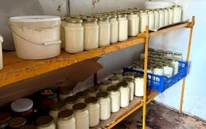      Фото: управление Россельхознадзора по Брянской, Смоленской и Калужской областям Арина Корф