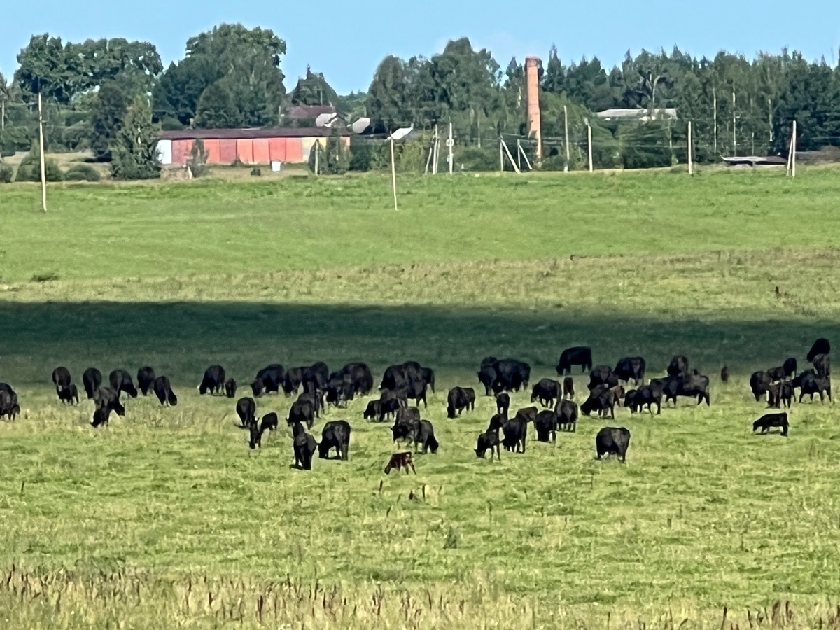 Вот они при приближении