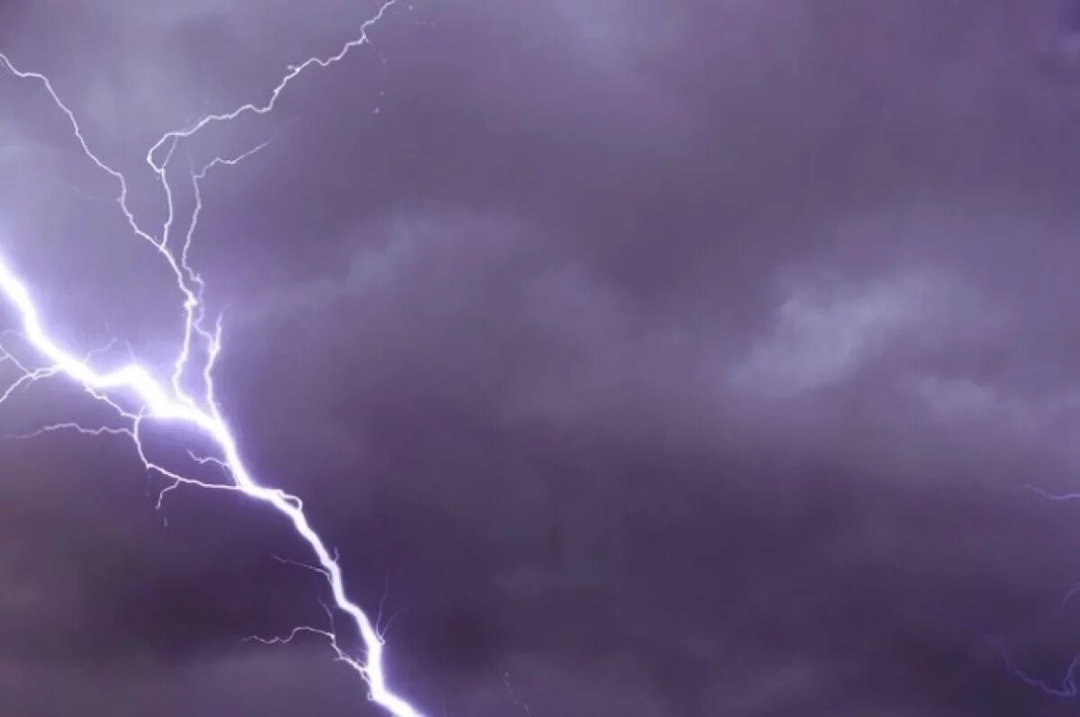    Физик Разумов прокомментировал гибель воронежского мальчика от молнии