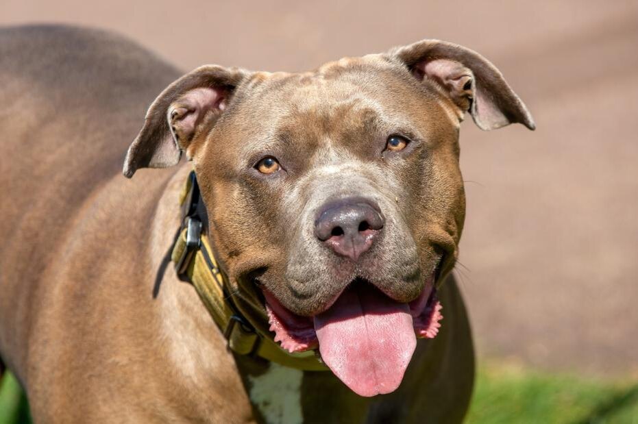    Shutterstock/FOTODOM