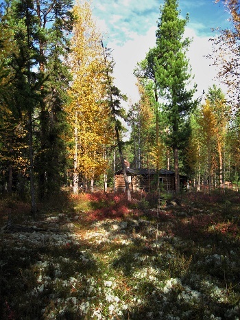 Фотографии Татьяны Немшановой. Осень таёжная таёжная. Северная тайга Западной Сибири ХМАО Югра. зимовье. Таёжная изба. 