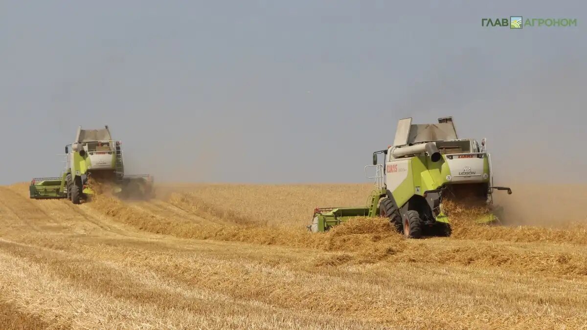 Фото:© Владимир Исаенко / Glavagronom.ru
Аналитика: экспортные цены на российскую пшеницу снизились