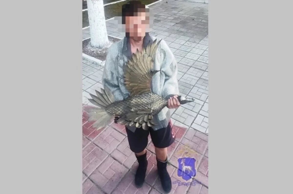    Полиция Жигулевска нашла вора металлической скульптуры утки