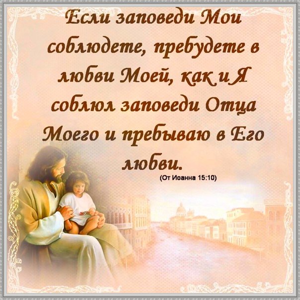 коллаж автора