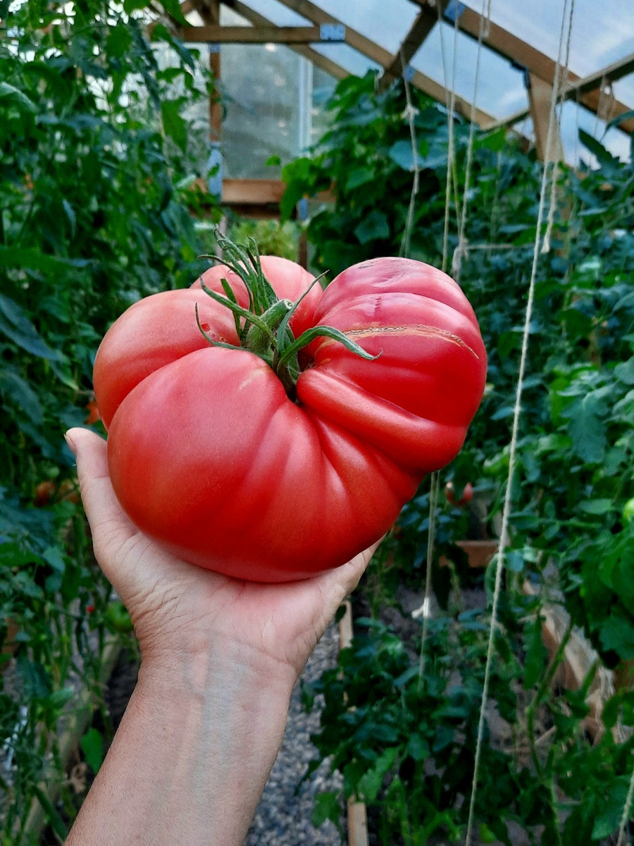 Фото автора. 2022г.