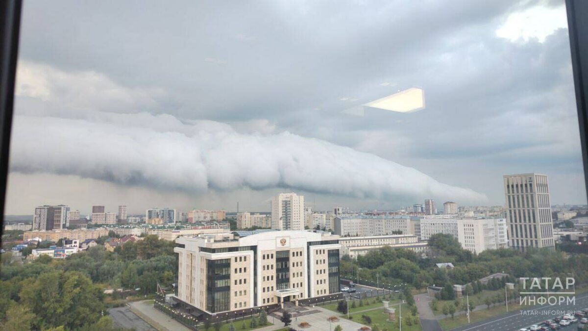 Фото: Очевидцы