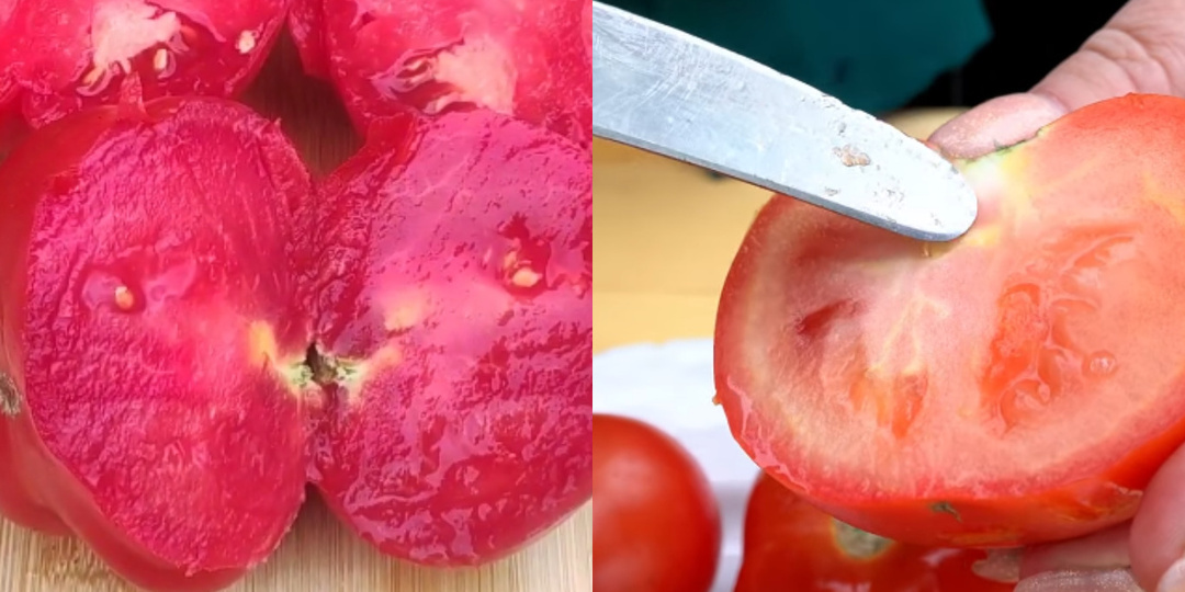 Собираю по 10 кг мясистых томатов с куста без единой белой жилки. Агроном показал прием с древесной золой
