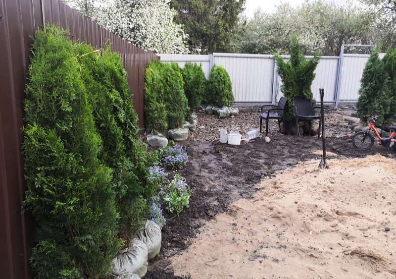 Сад автора, май 2022г, привезли туи