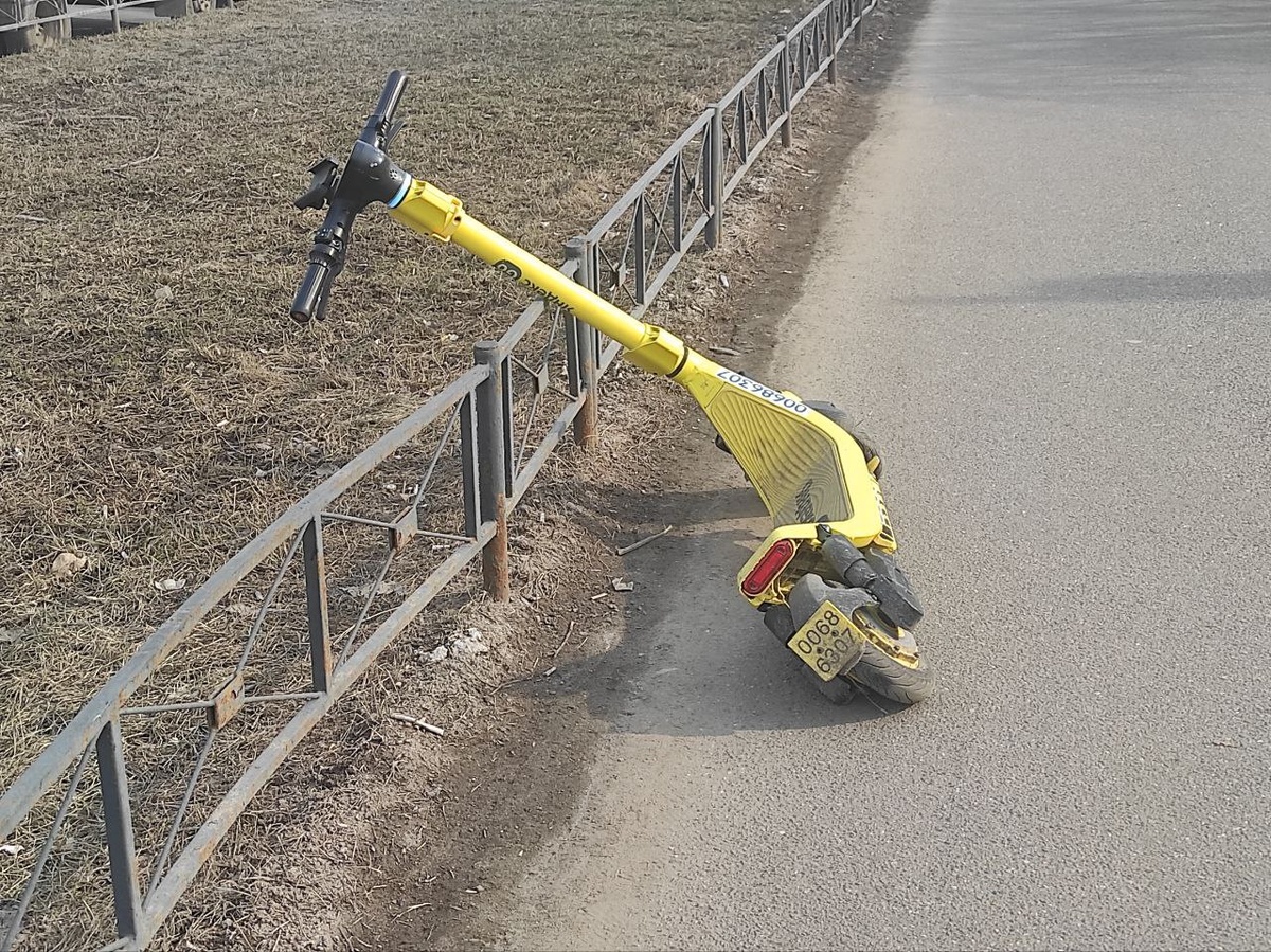 © Форпост Северо-Запад / Алиса Иняхина