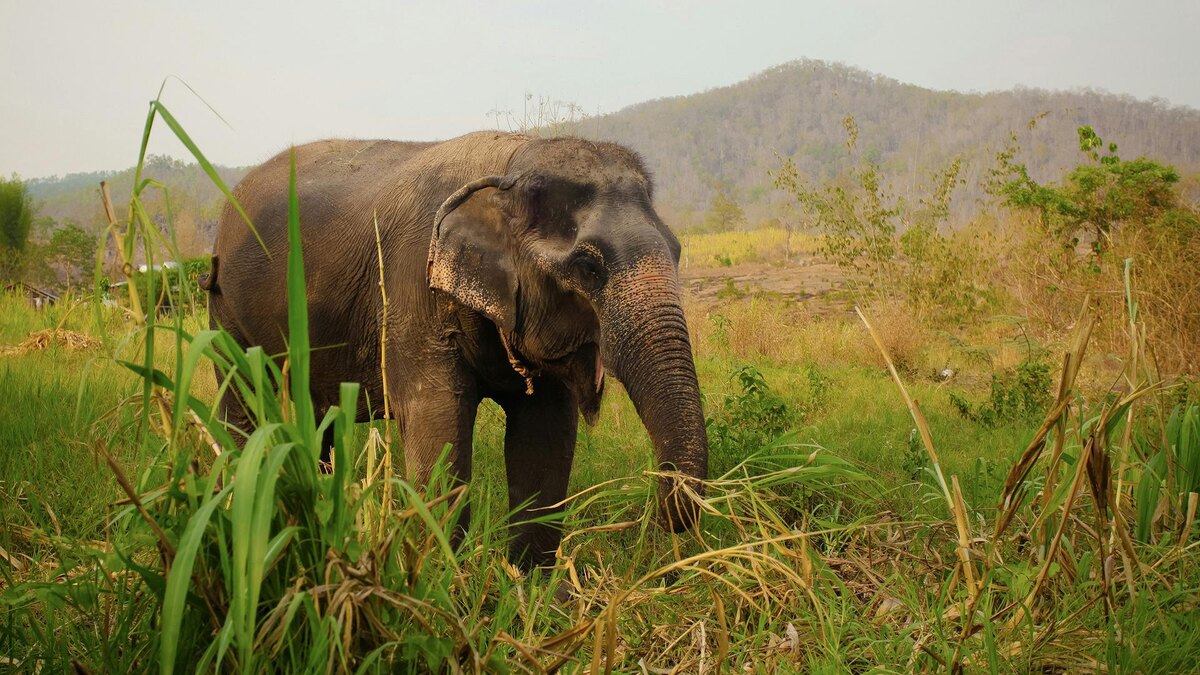 Фото: unsplash.com