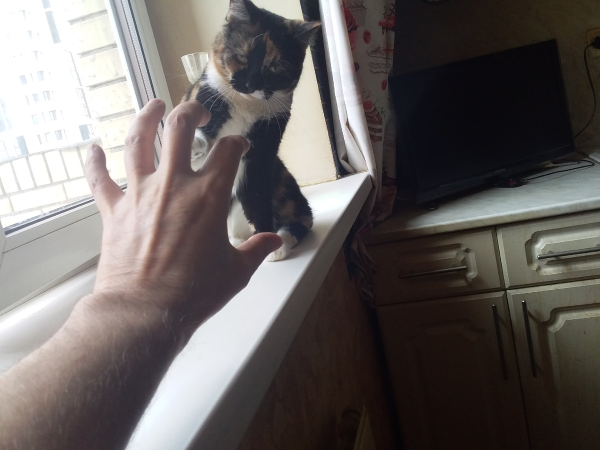 Жуткая рука.