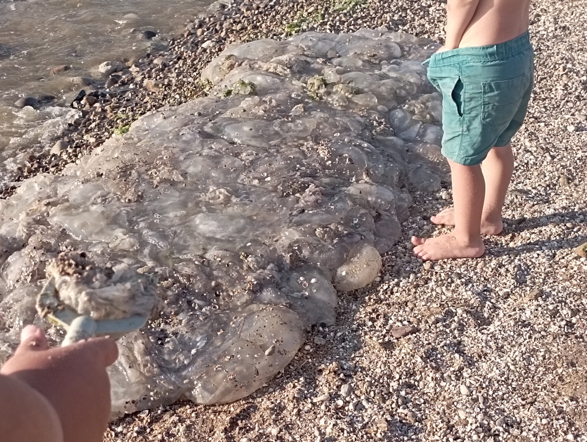 Ейск. Каменка. Вечер