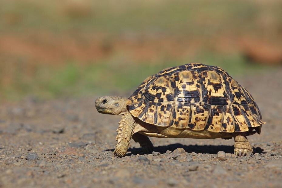    imago stock&people/Global Look Press