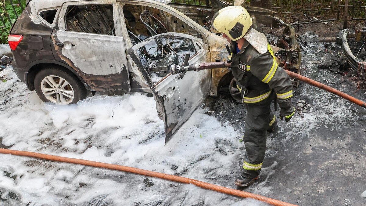    Фото: Belkin Alexey/globallookpress.com