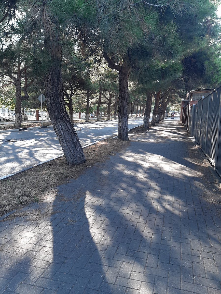 Такие у нас улочки)