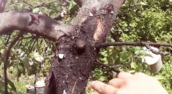 фото взято с яндекс картинки