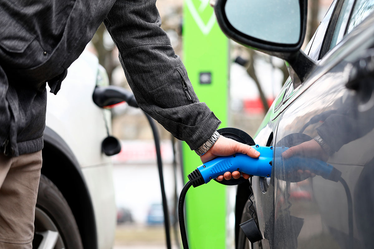    Фото: megaflopp / Shutterstock.com