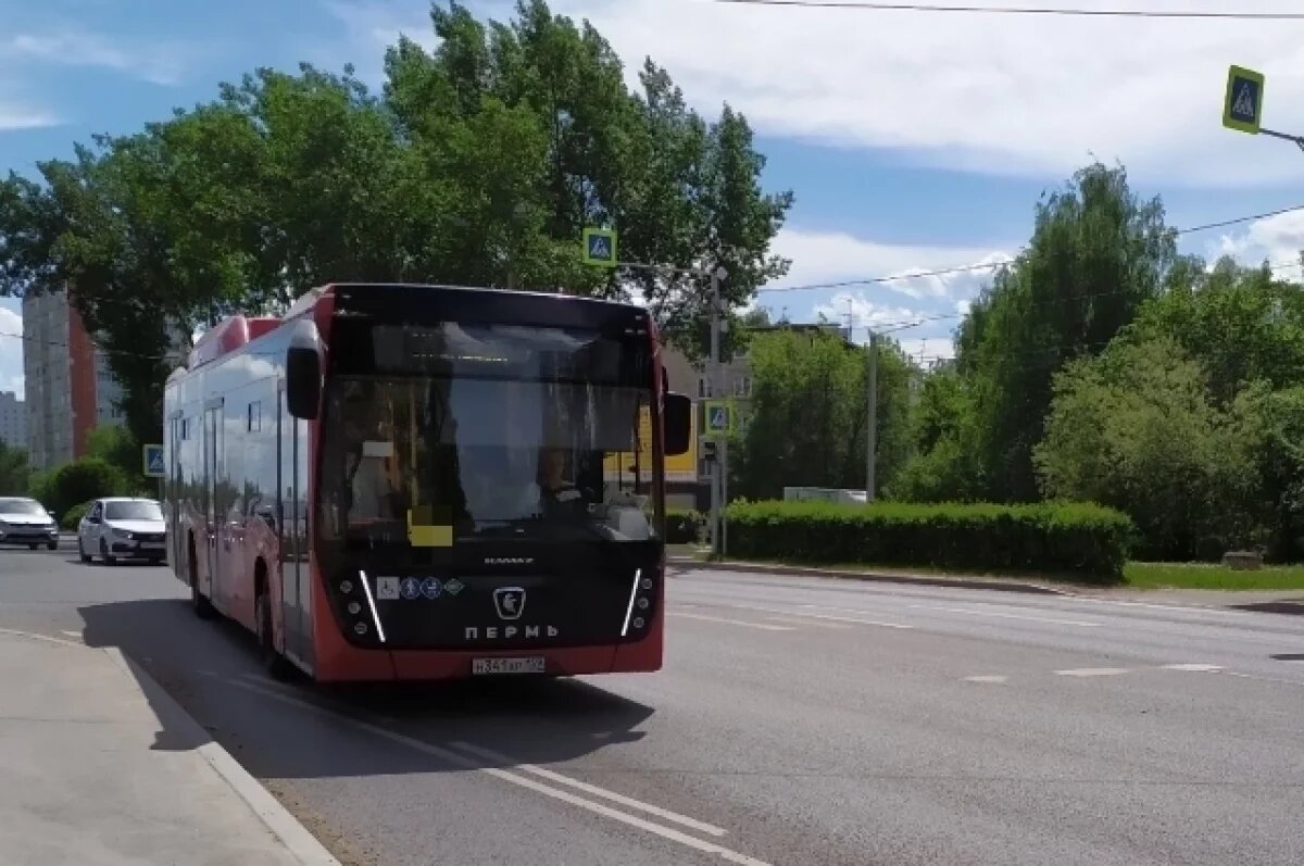    Пермяки не могут дождаться автобусы № 64, идущие группой