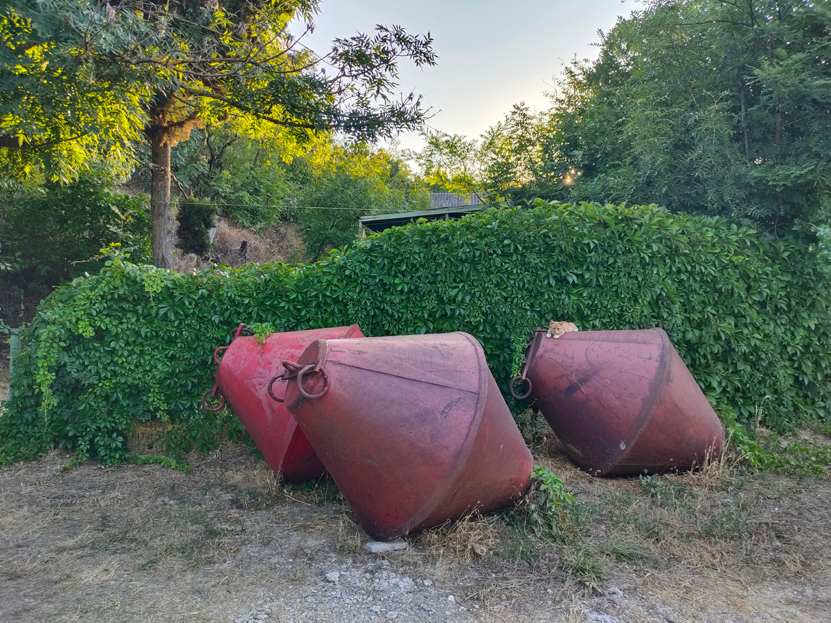 Живу за буйками 