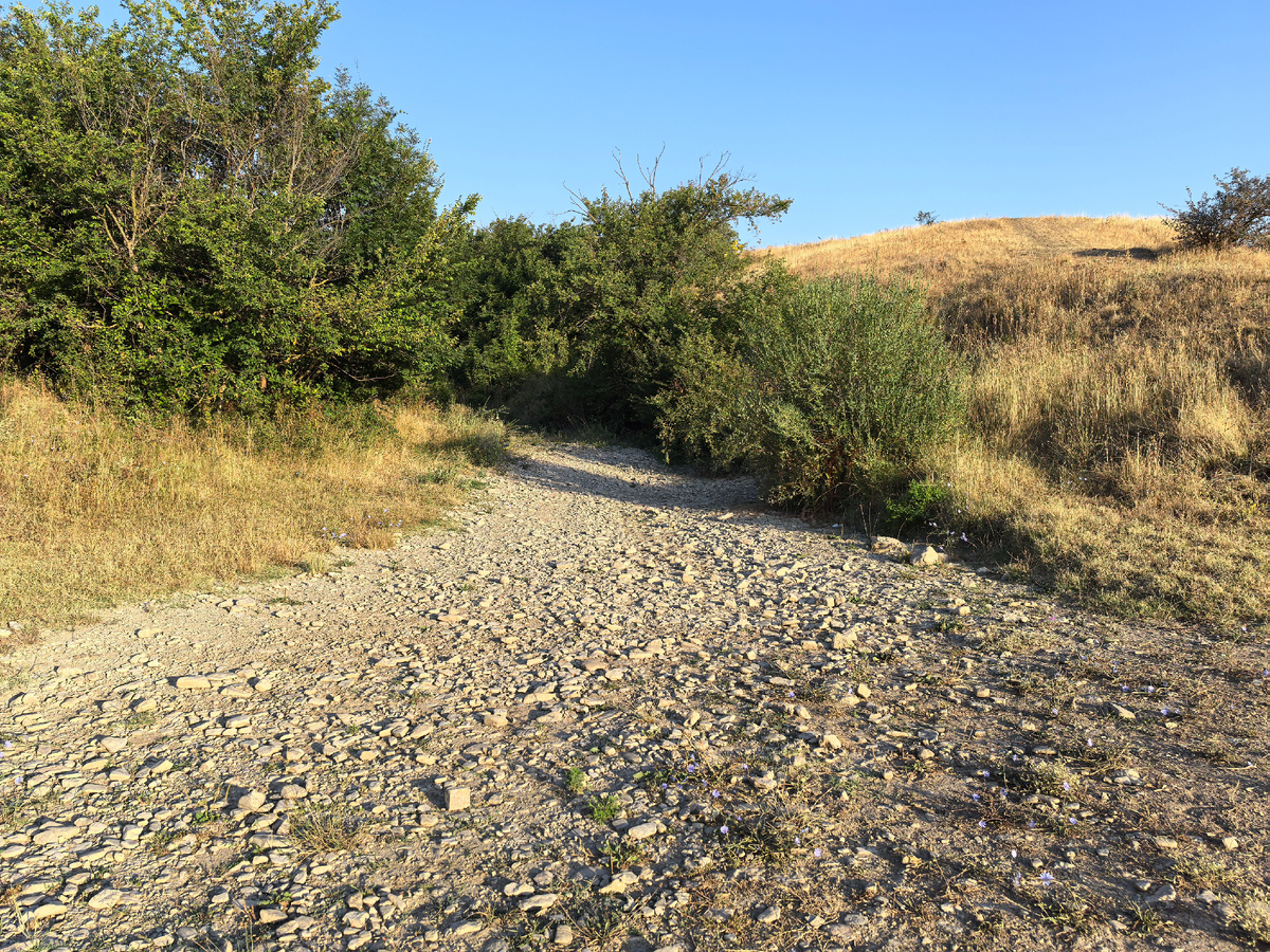 Речка Монастырская пересохла