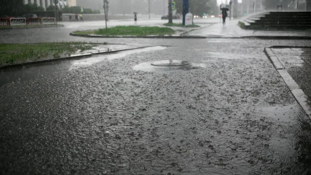    Фото: shutterstock.com