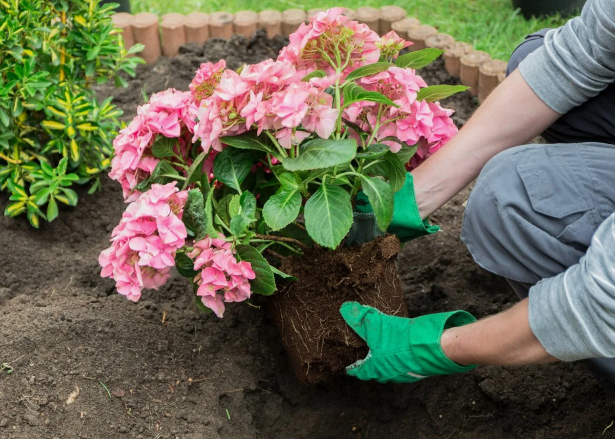 Источник фото: deccoria.pl