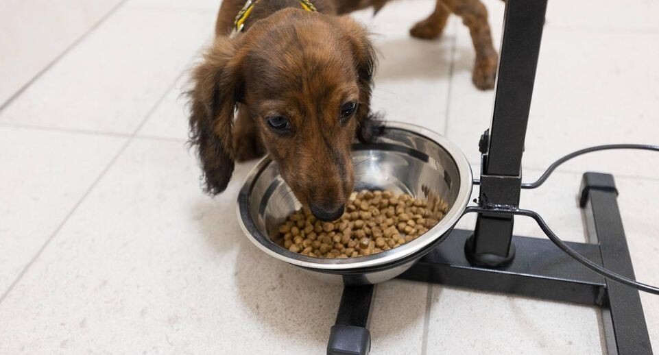    фото ООО «Научно-Производственный Центр Кормовых Технологий»