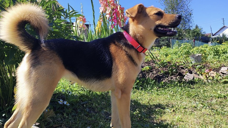 Наш звездный привет из дома: выпускница Ася покоряет сердца