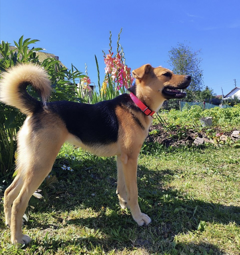 Не узнать красавицу!