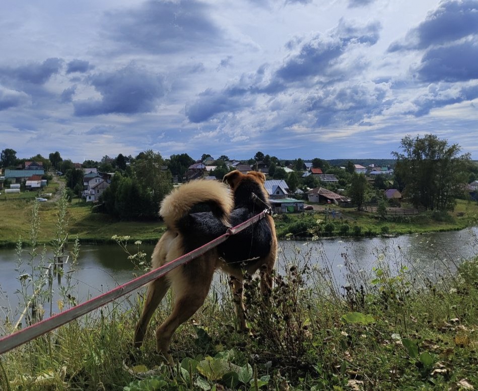 Изумительная Ася, изумительная природа.