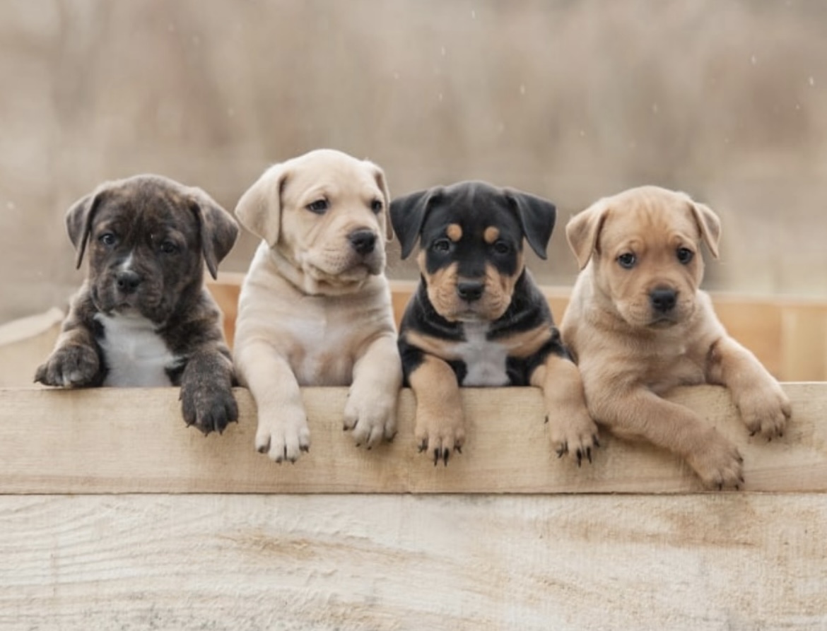 Фото для иллюстрации из свободного доступа в интернете