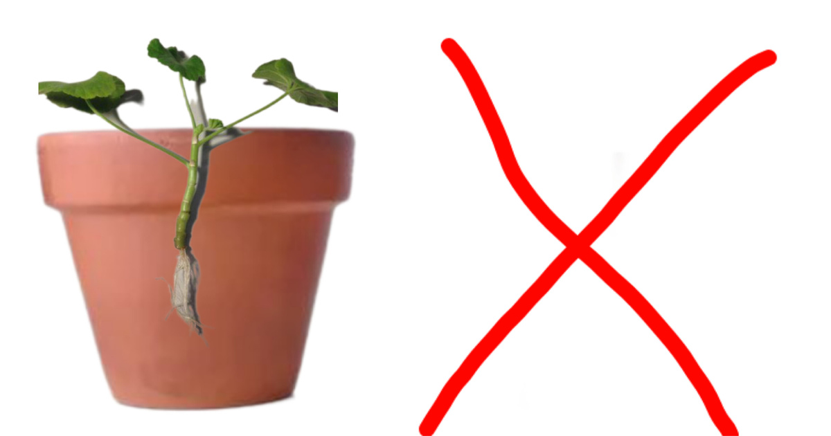 Так  ❌ нельзя