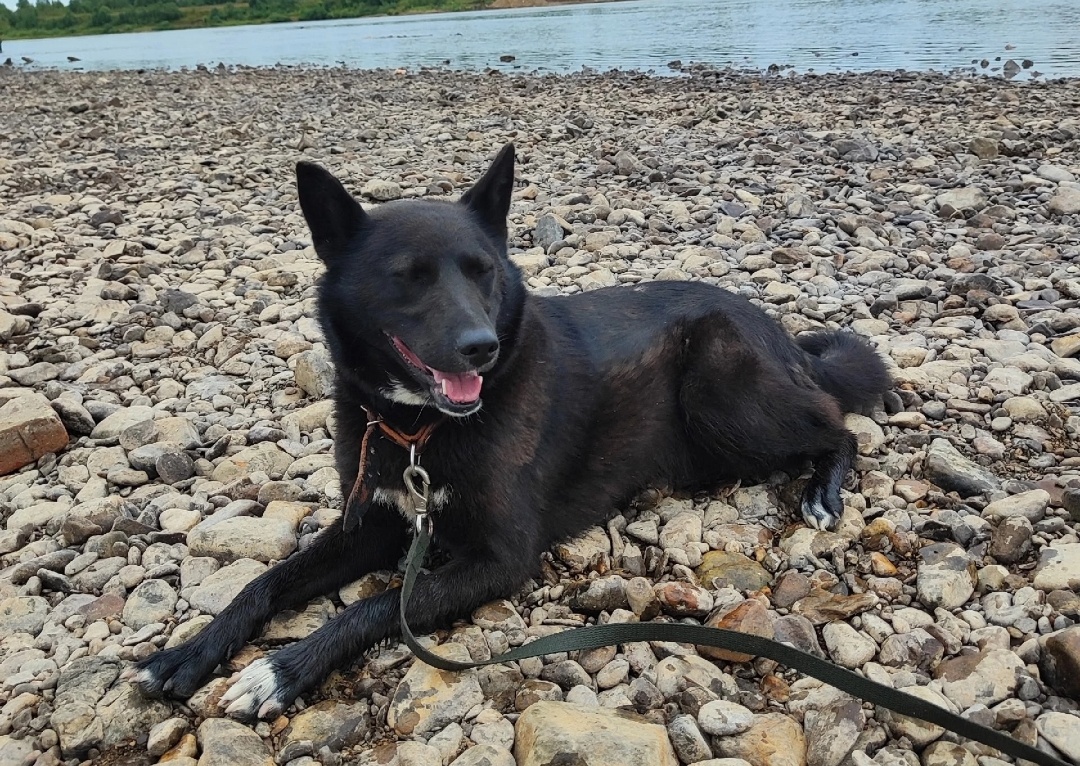 Рэсси очень любит детей