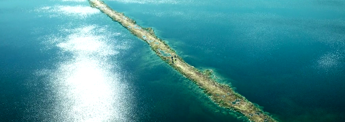 Кадр из фильма "28 лет спустя"