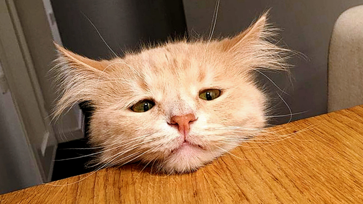 Когда думал, что тебя буду любить просто так, но жестоко ошибся...