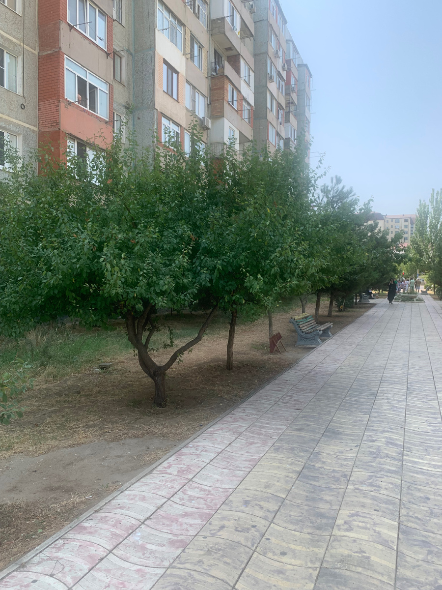 Одна из аллей по пути к морю