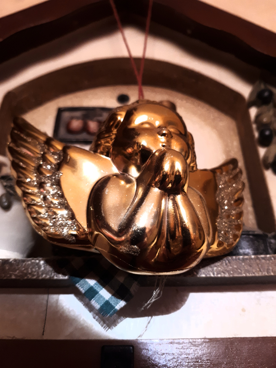 Фото автора 05.08.2025г.