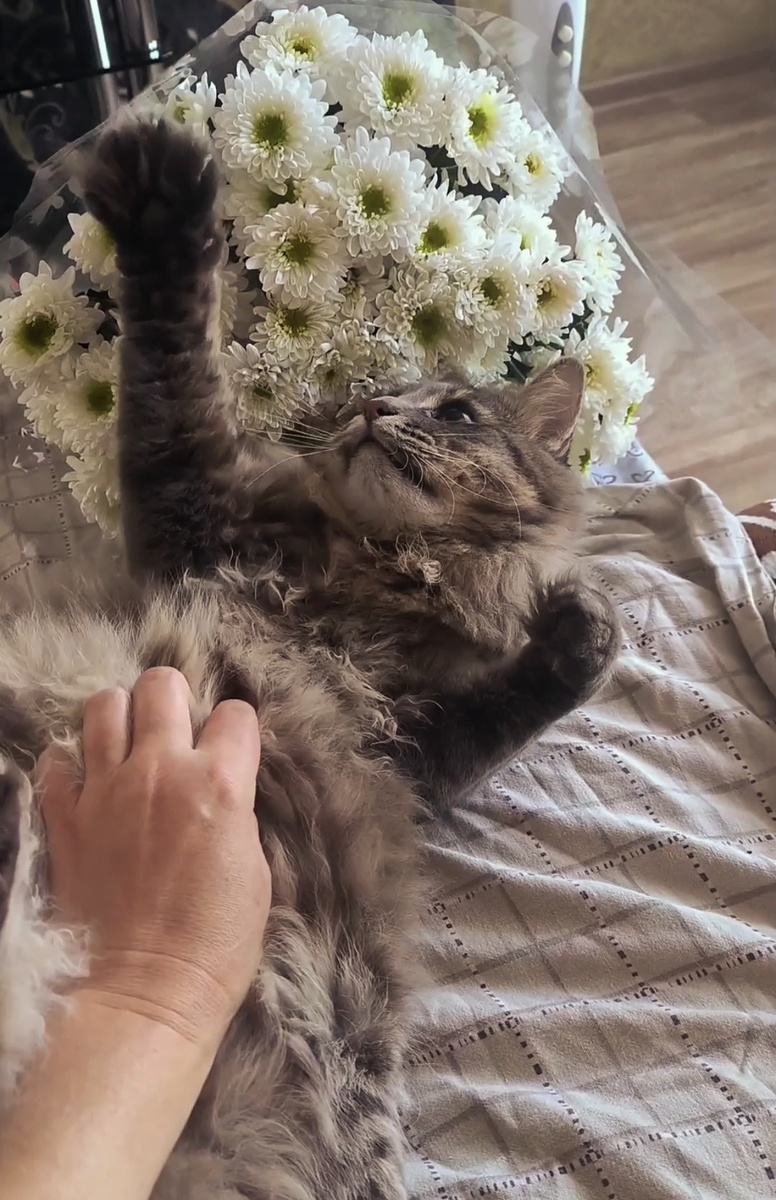 Фотографии в статье просто так, для настроения... И все они авторские, и настроение авторское))) 