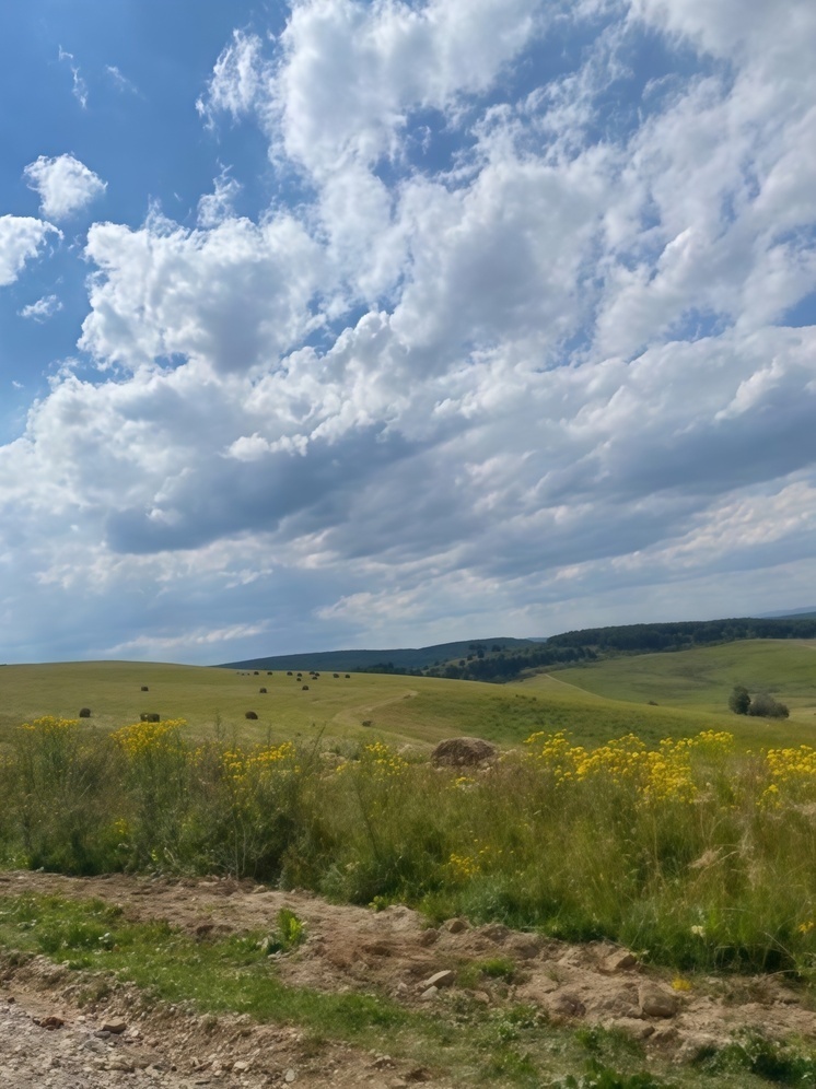     Фото: МК-Кавказ